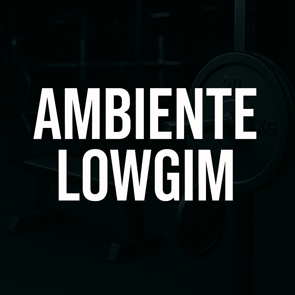 Ambiente Lowgim