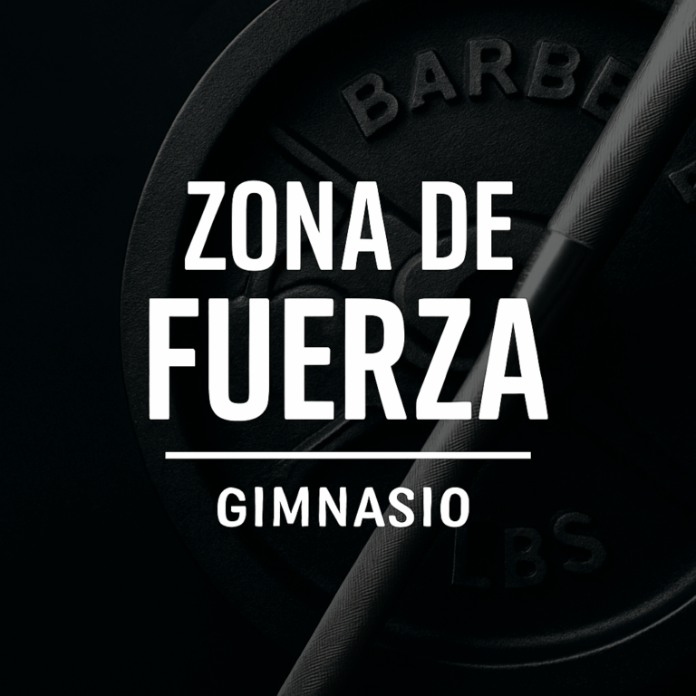 Zona de fuerza